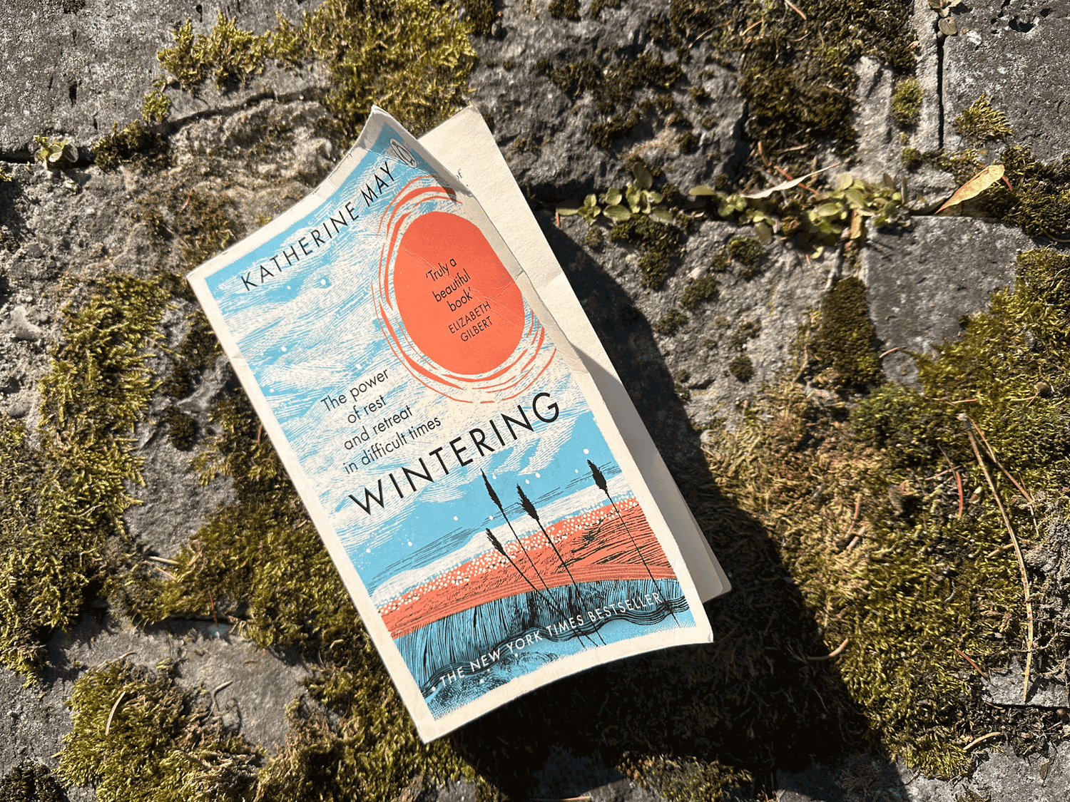 Buchtipp „Überwintern“ – inspirierende Lektüre über das Innehalten und Kraft tanken in der Winterzeit