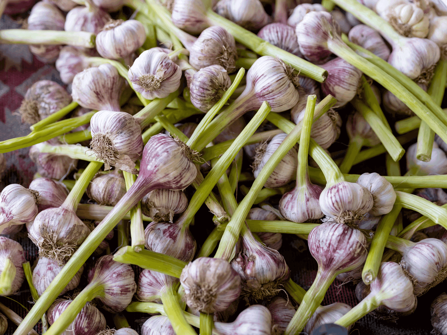 DIY-Hausapotheke: Frischer Knoblauch, Gesundheit, sich selbst helfen, Immunsystem, Erkältungszeit, Grippe, Infekt, Herzgesundheit, Wohlbefinden