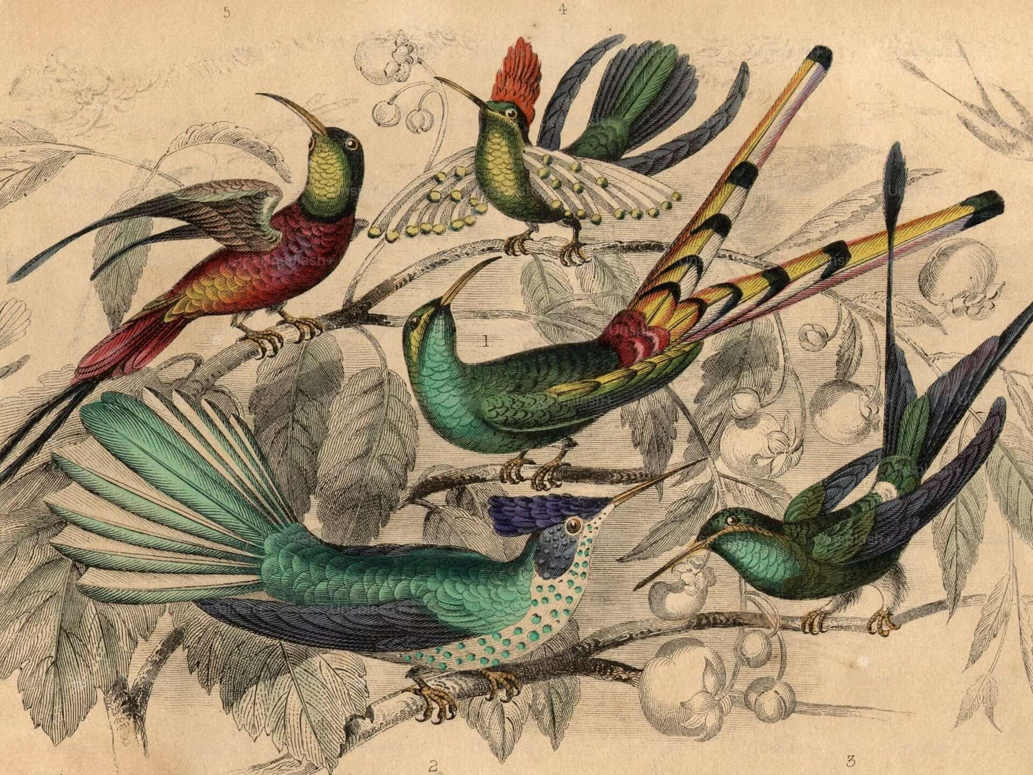 Farbe als Handwerk: Der Wandel des Berufs Kolorist:in