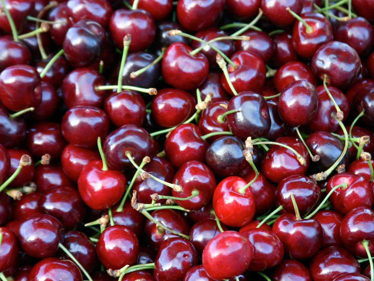 Rezept: Sauerkirschsuppe