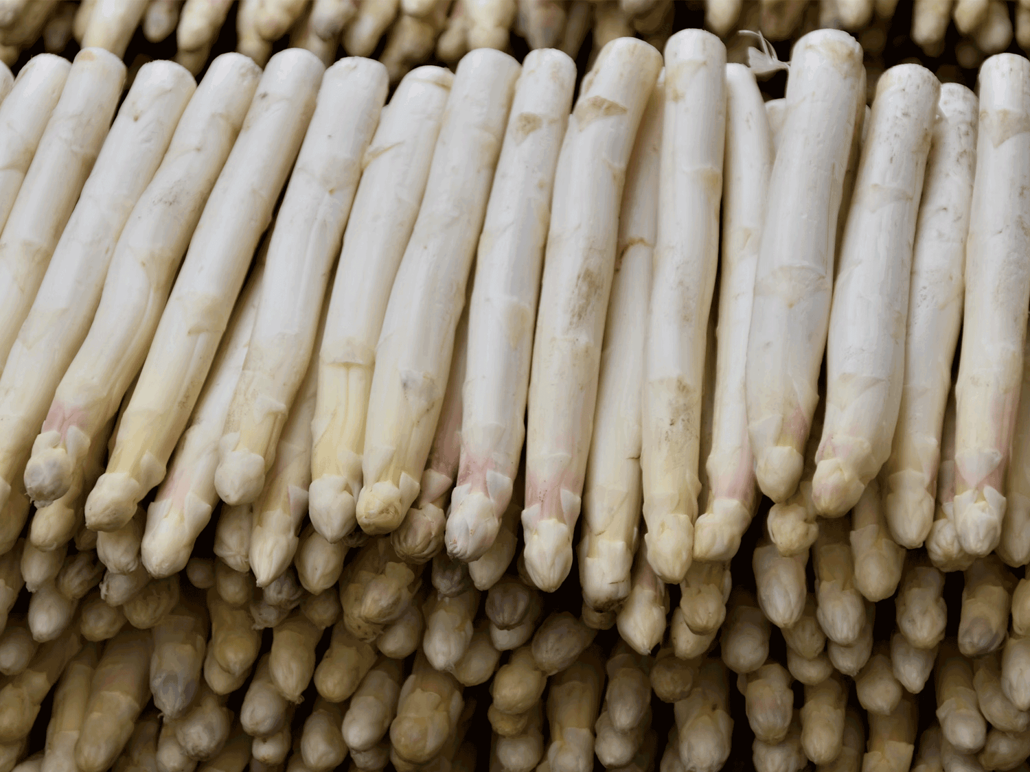 Rezept für cremige Spargelsuppe – Frühlingssuppe mit weißem Spargel, Sahne und Kräutern, einfaches Rezept für leckeren Spargelgenuss