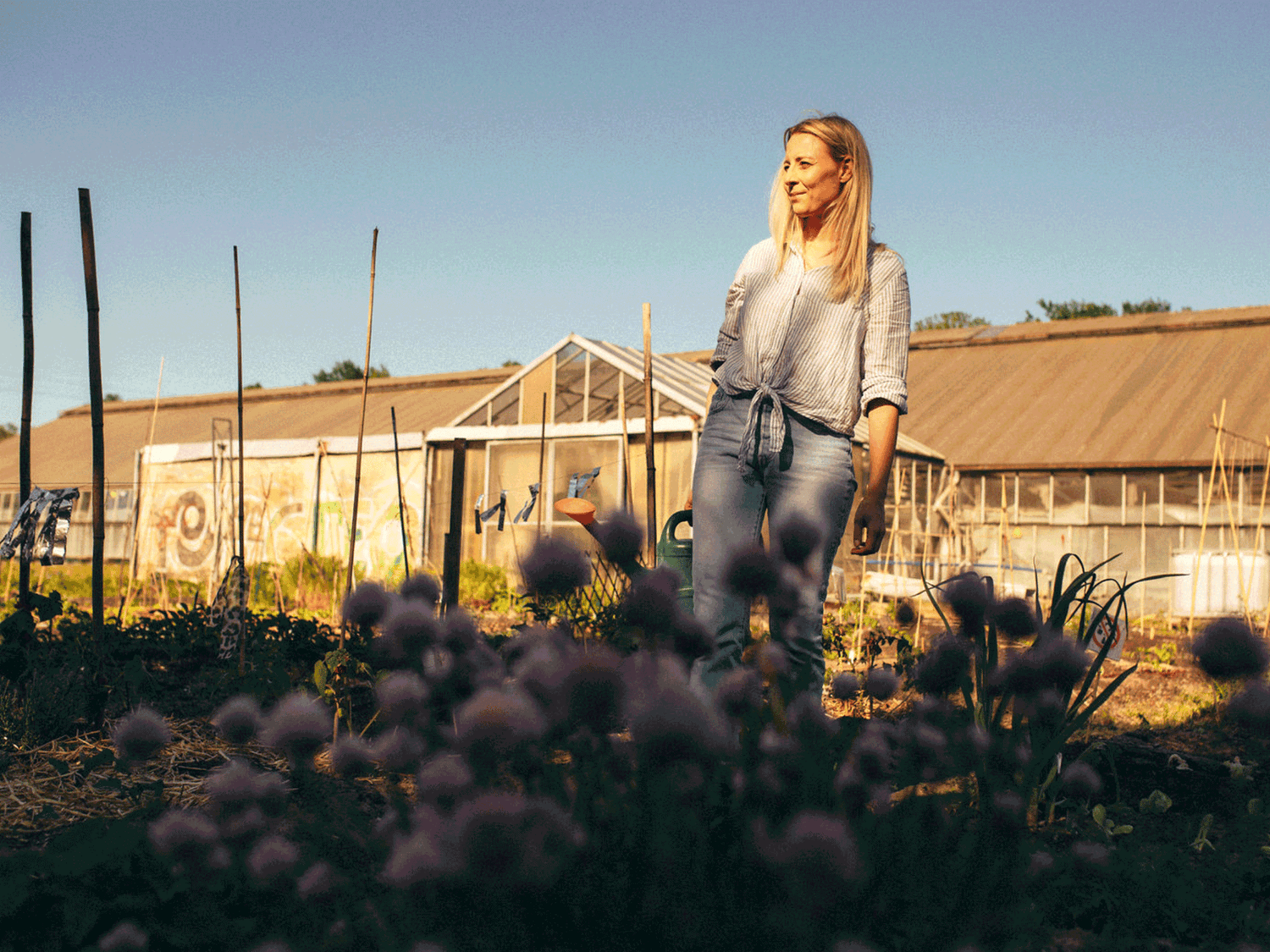 Gemüseanbau lernen – Workshops für nachhaltigen Garten, Selbstversorgung und kreative Anbauideen entdecken