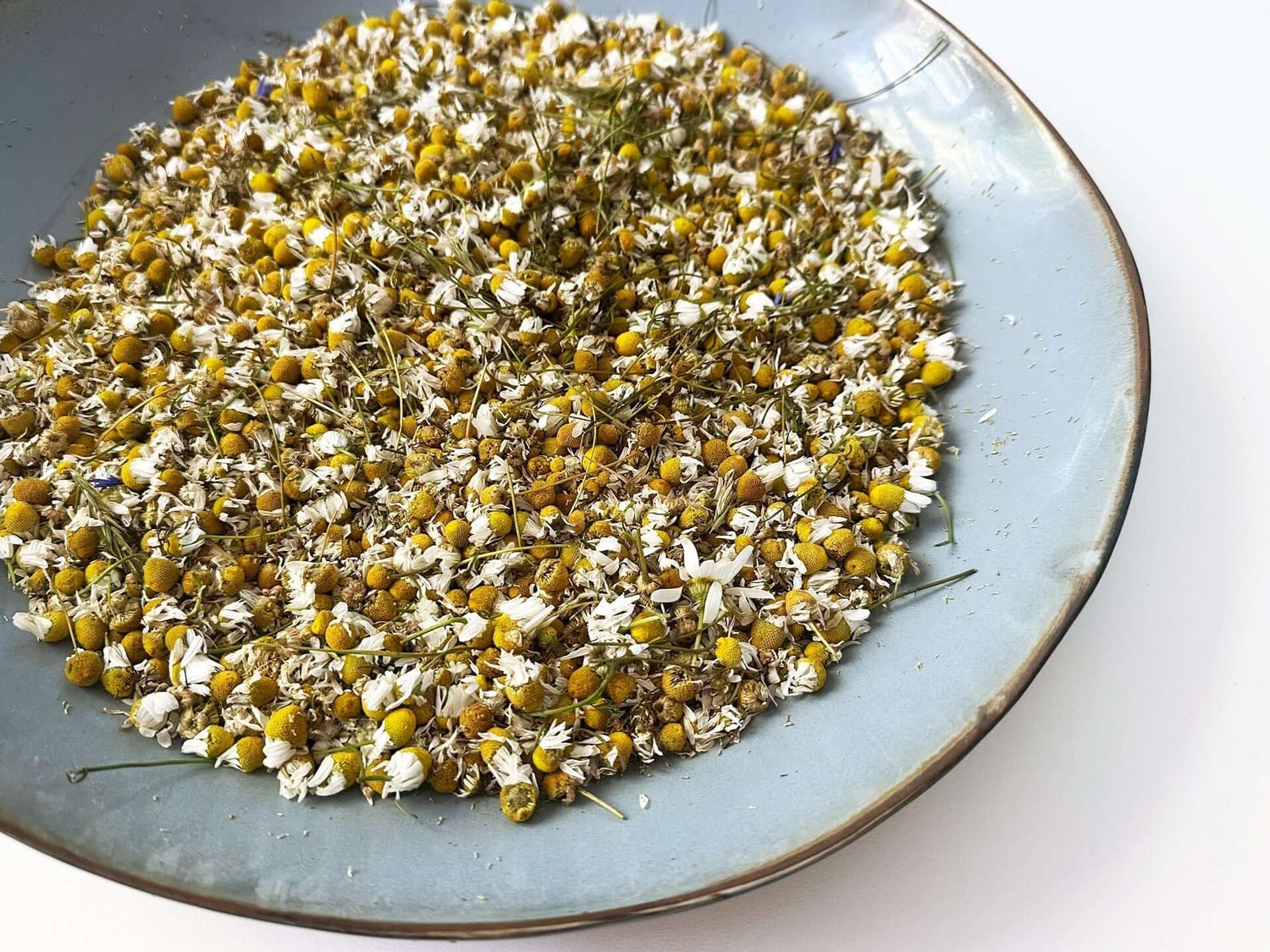 Kamille sammeln und trocknen: So gelingt dein eigener Heiltee