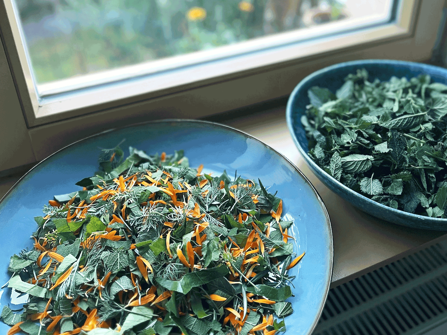 DIY Anleitung: Den Sommer als Kräutertee haltbar machen, Kräuter selber anbauen und ernten, Teepflanzen, Heilkräuter für Tee und Wirkungsweisen, Welche Pflanze wirkt wie?