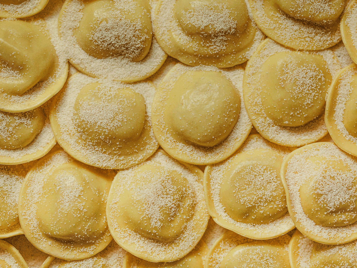 Selbstgemachte italienische Pasta – frische Tagliatelle aus Mehl und Ei, einfaches Rezept für hausgemachte Nudeln