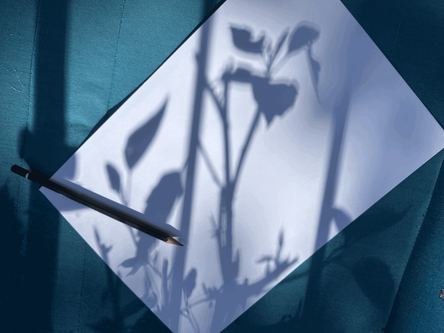 DIY-Anleitung: Schattenzeichnen – Zeichnen mit Licht und Schatten