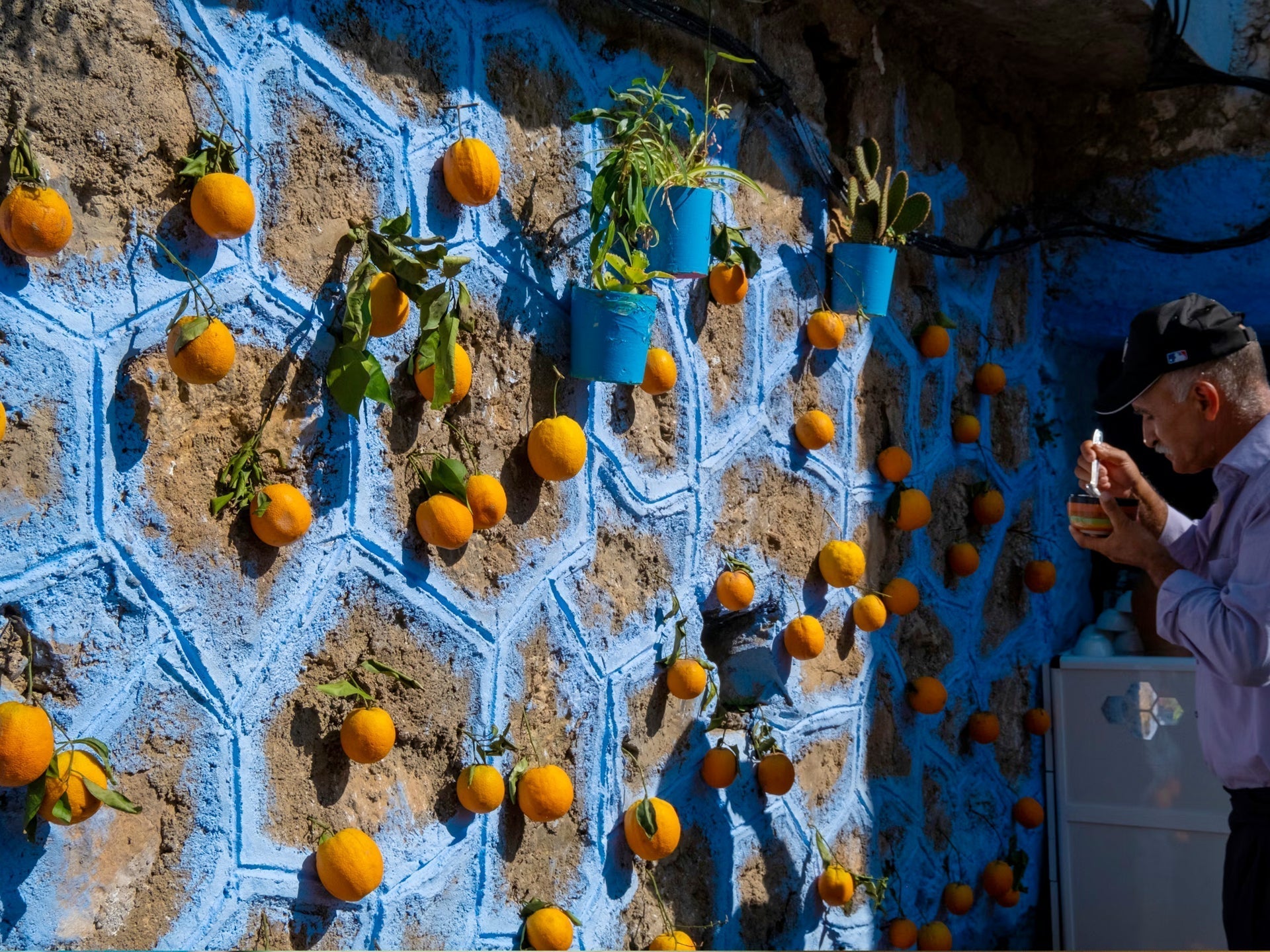 TV Tipp: Arte-Doku - Die Welt der Zitrusfrüchte