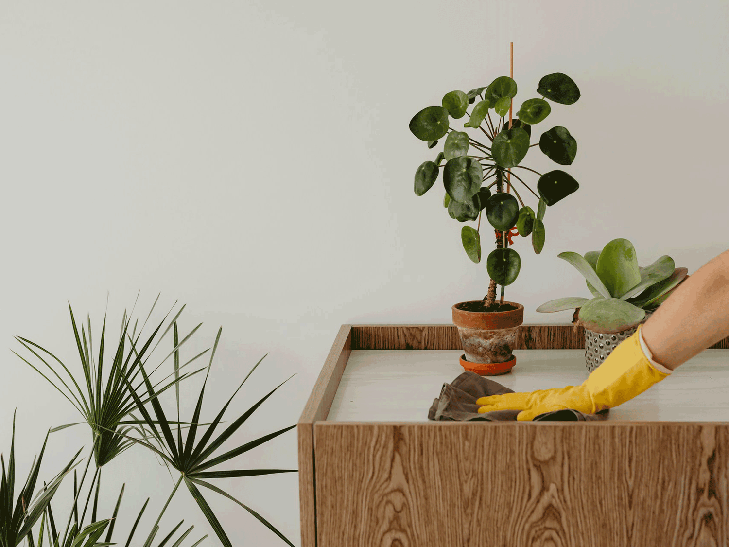 Frühjahrsputz Tipps – Räume entrümpeln und neu gestalten für mehr Kreativität und frische Ideen im Alltag