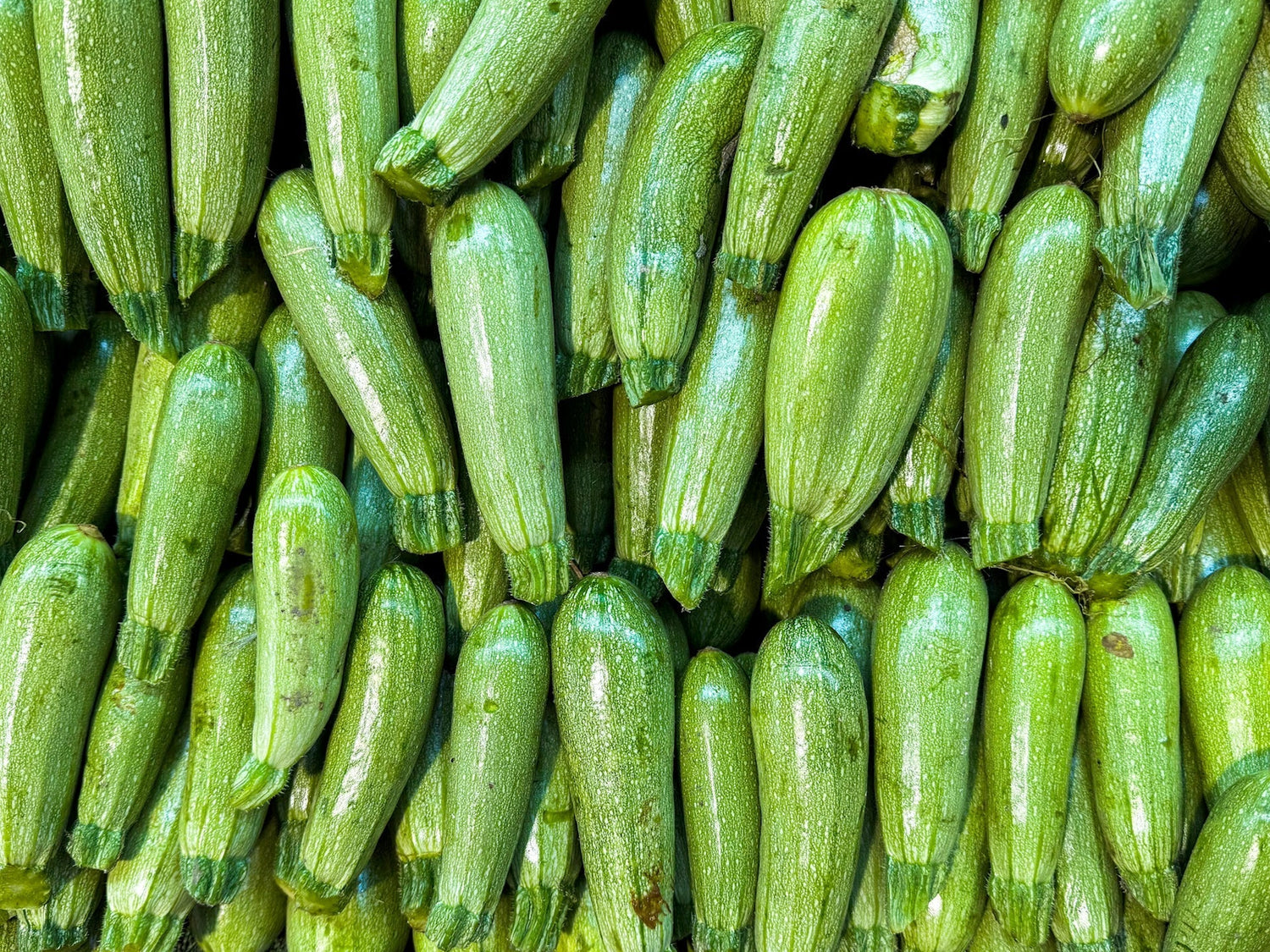 Was machen mit: Zucchini im Überfluss?