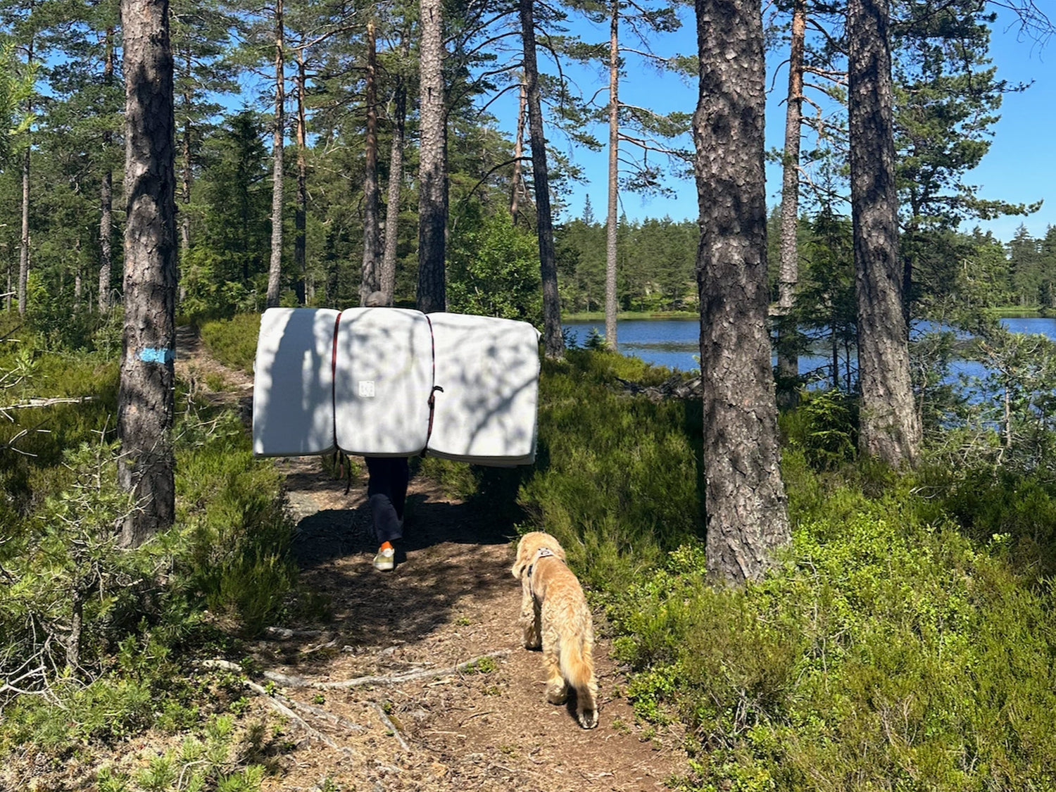 Wo der Alltag 15 Minuten durch den Wald muss