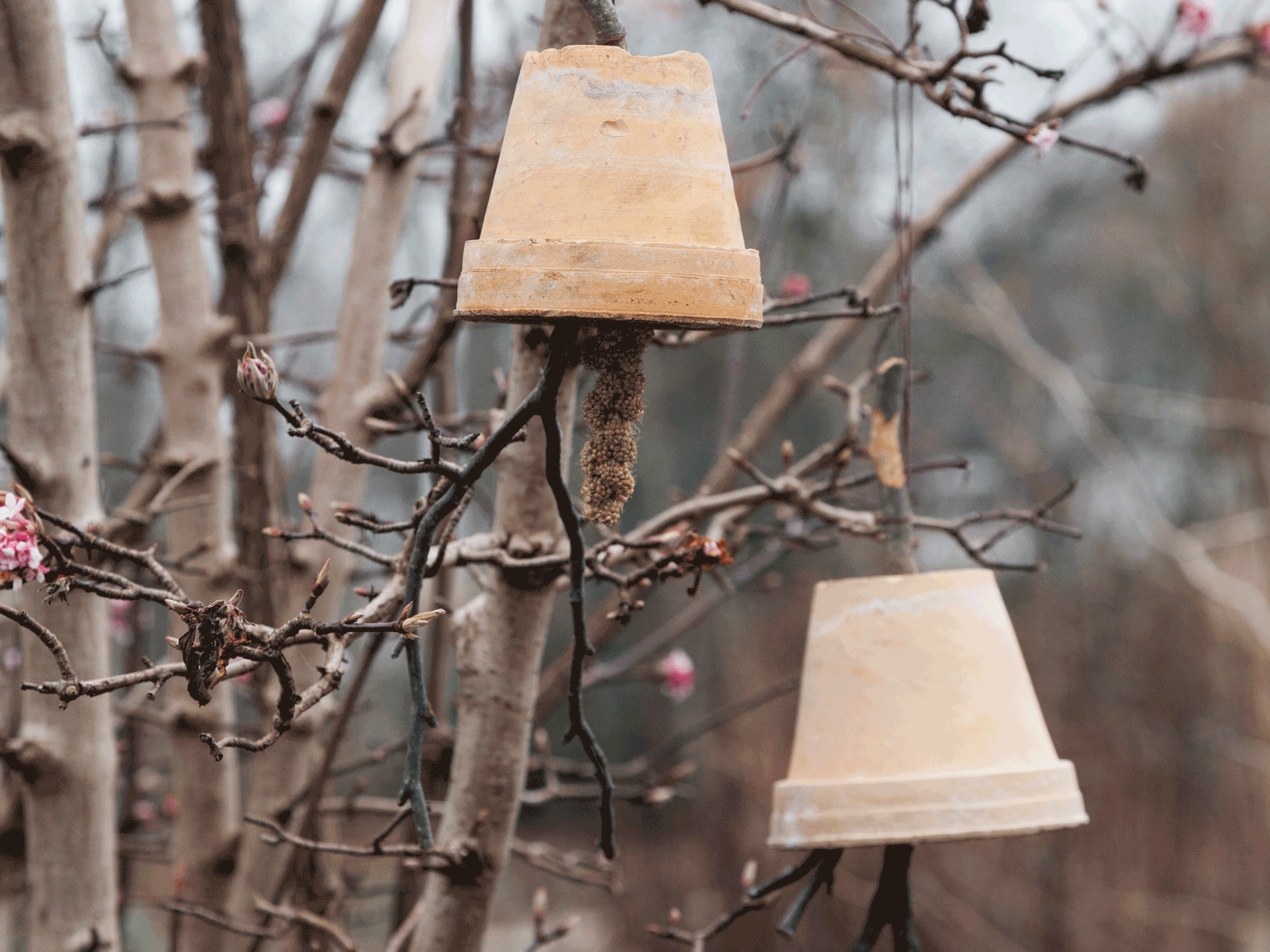 DIY-Anleitung: Vogelfutter selbermachen