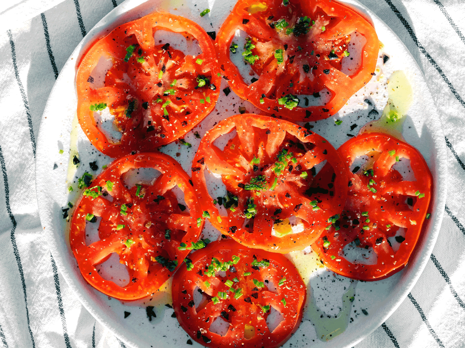 Ratgeber für das Anbauen der eigenen Tomaten mit Tipps für das ganze Jahr