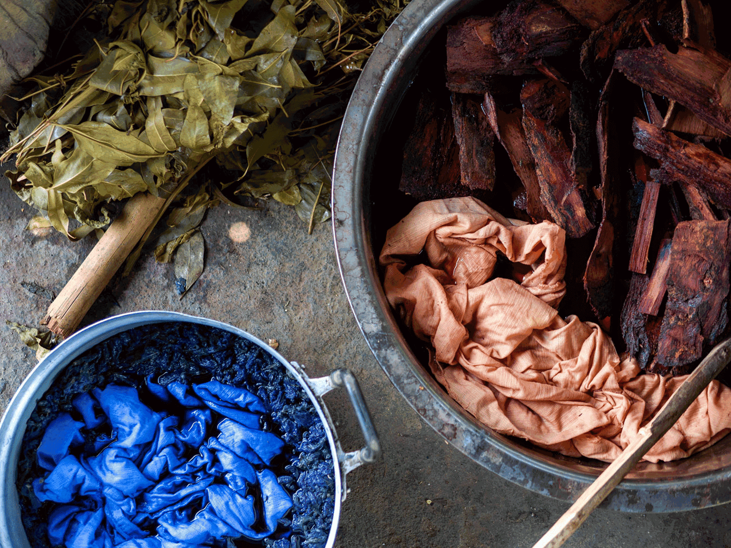 DIY Anleitung: Färben mit Pflanzen, Pflanzenfarben selbermachen, kreativ im Sommer, kreativ in den Ferien, Malen mit Pflanzenfarben