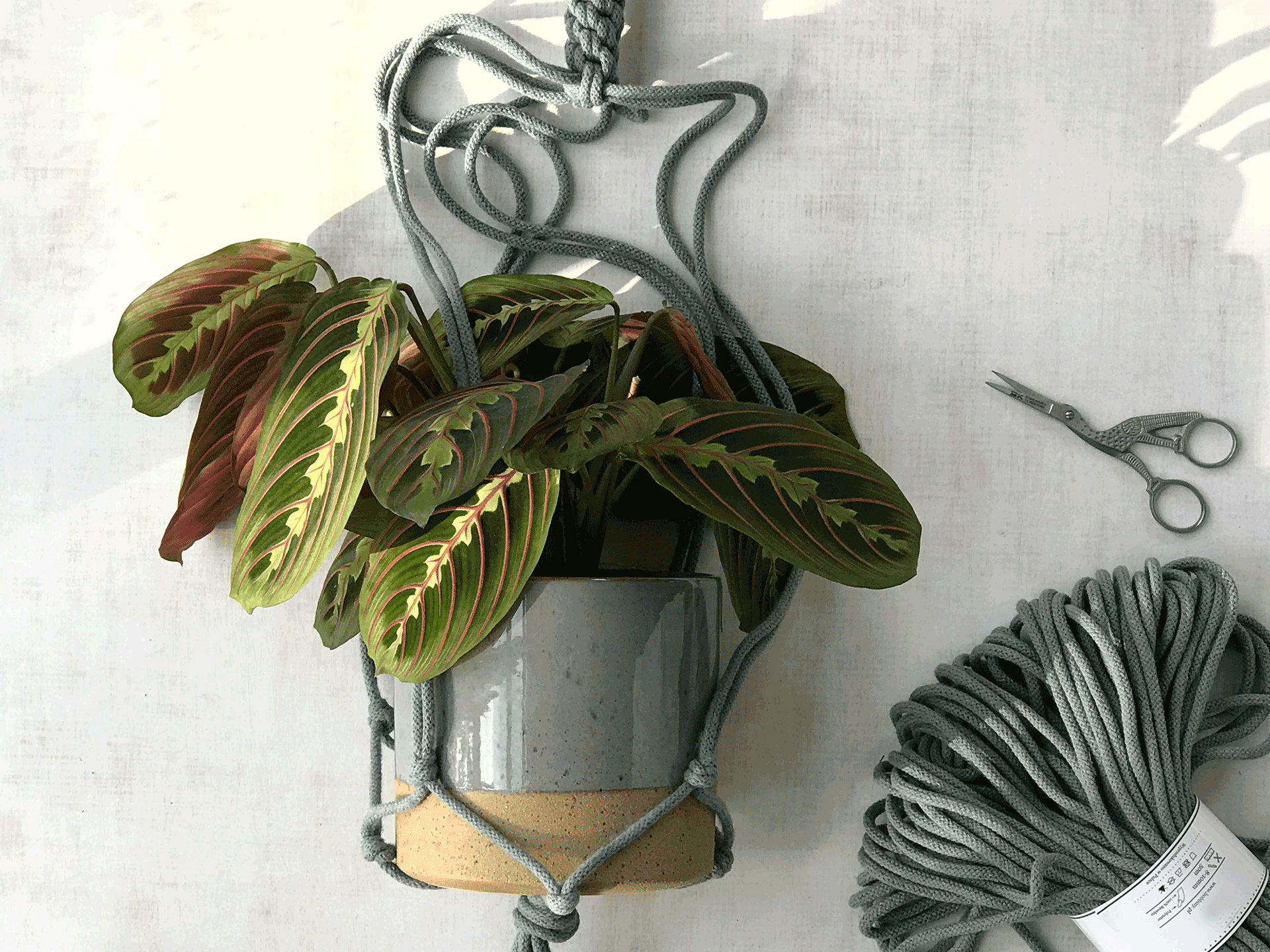 DIY-Anleitung: Makramee Blumenampel knüpfen