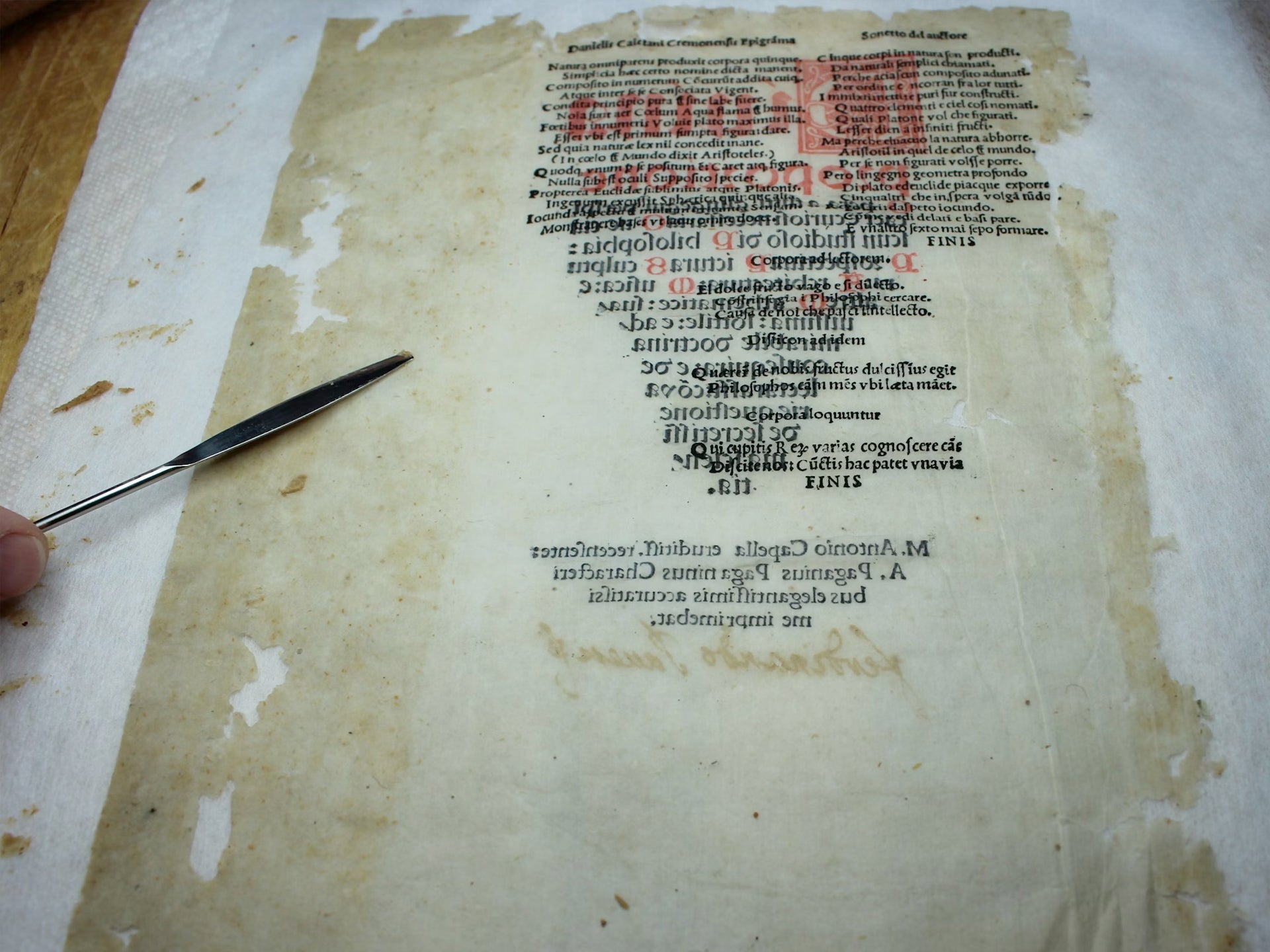 Handwerk hautnah: Berufsporträt Papierrestaurator:in