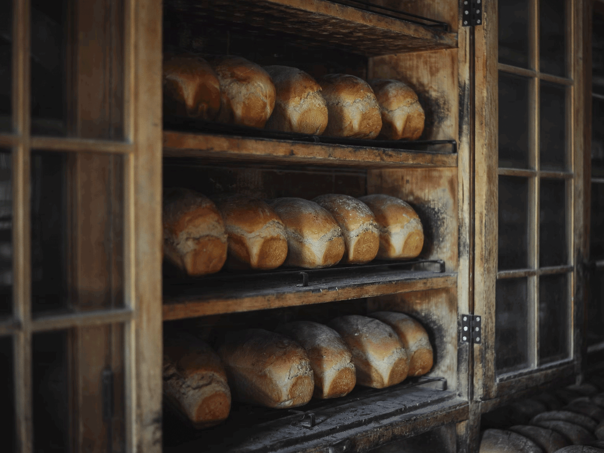 Die deutsche Brotkultur - ein kulinarisches Erbe zum Selbermachen